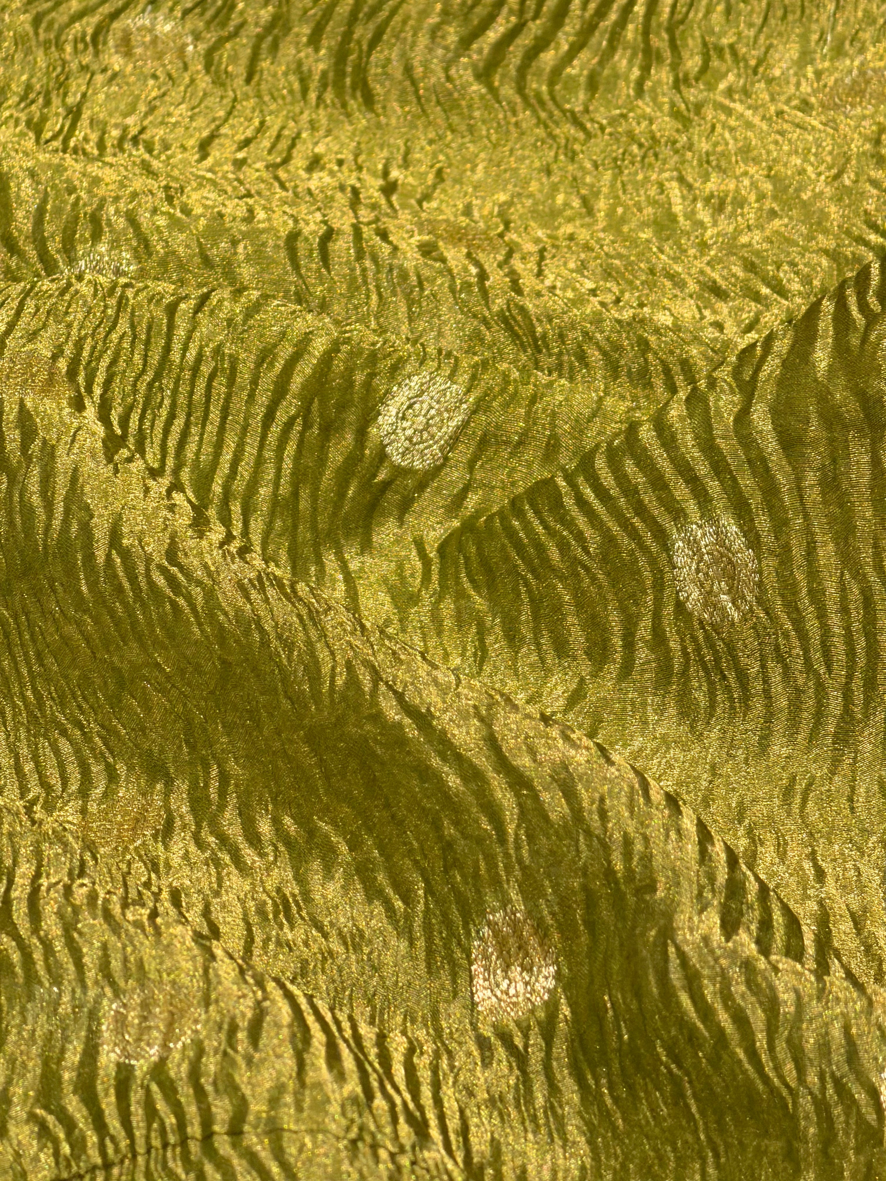 Olive Gold Crush Tissue Fabric with Gold Zari Polka Motifs