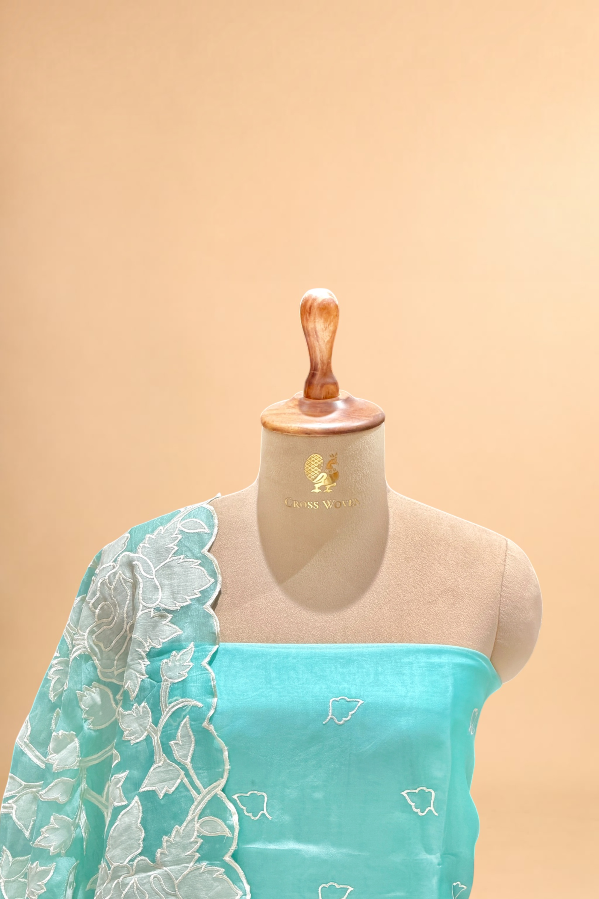 Aqua Blue Organza Silk Suit Set With Appliqué Dupatta