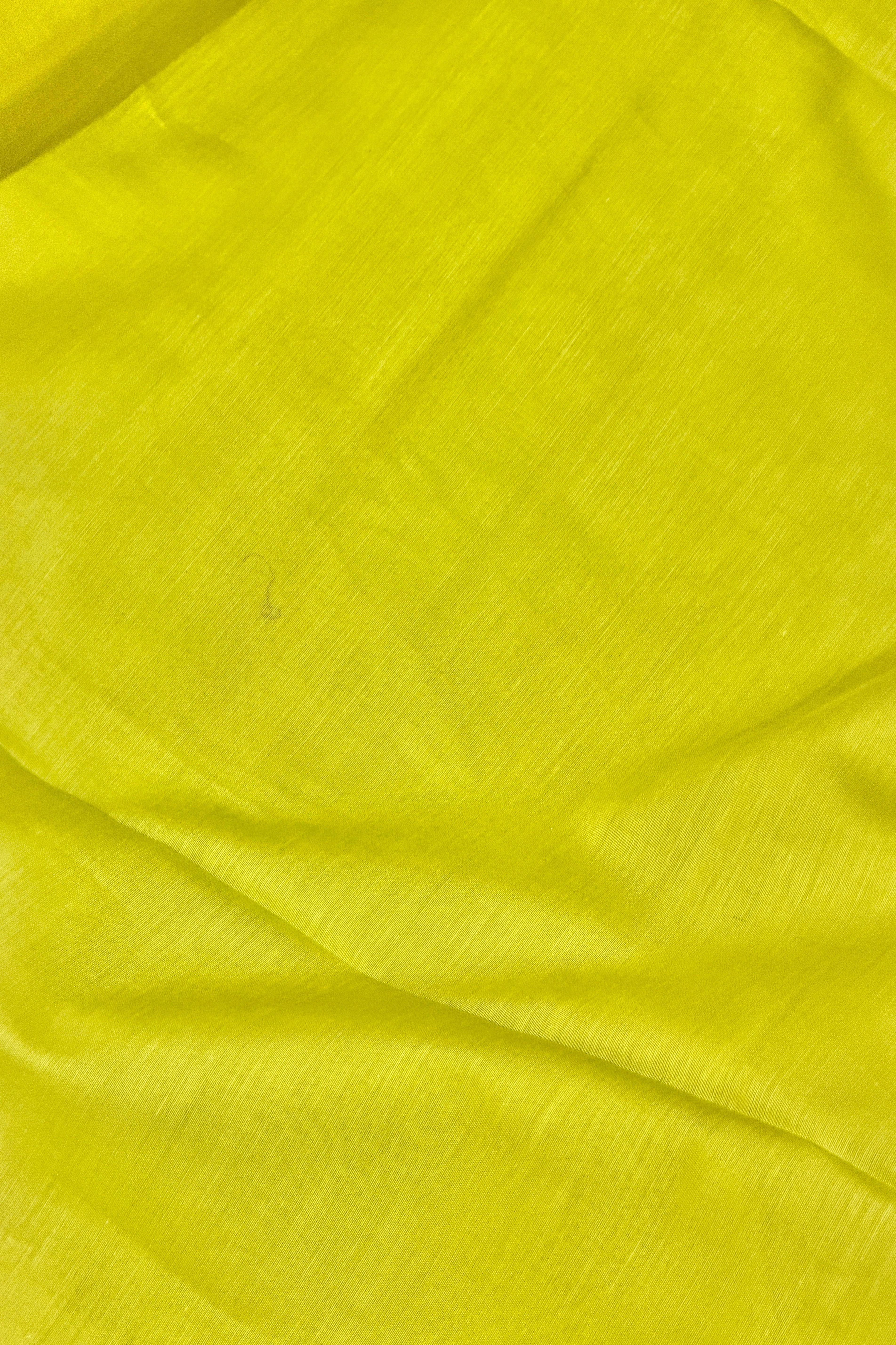Lime Green Mul Suit Set with Tissue Panel Top & Stripe Dupatta