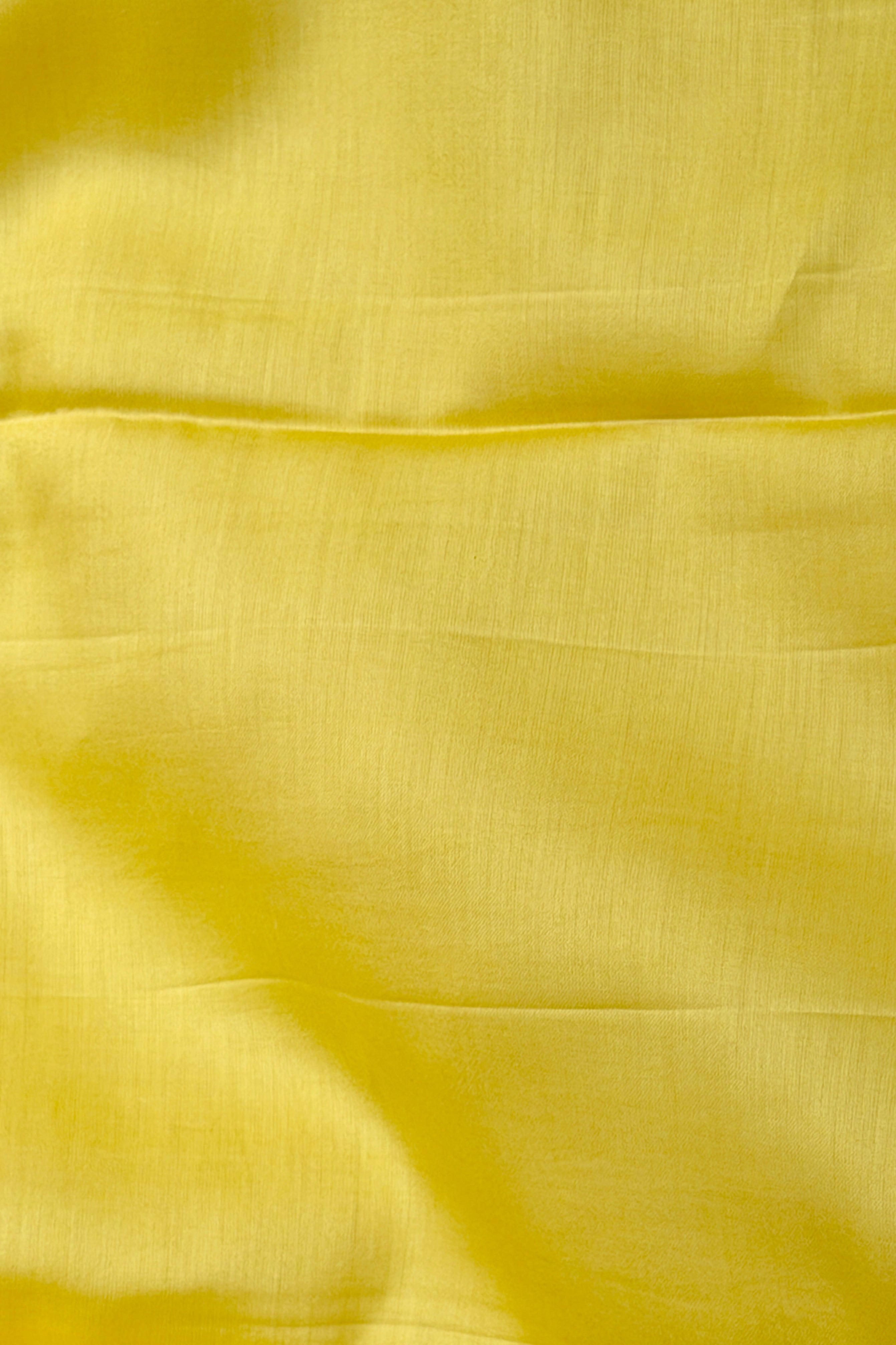 Pastel Yellow Mul Suit Set with Tissue Panel Top & Stripe Dupatta