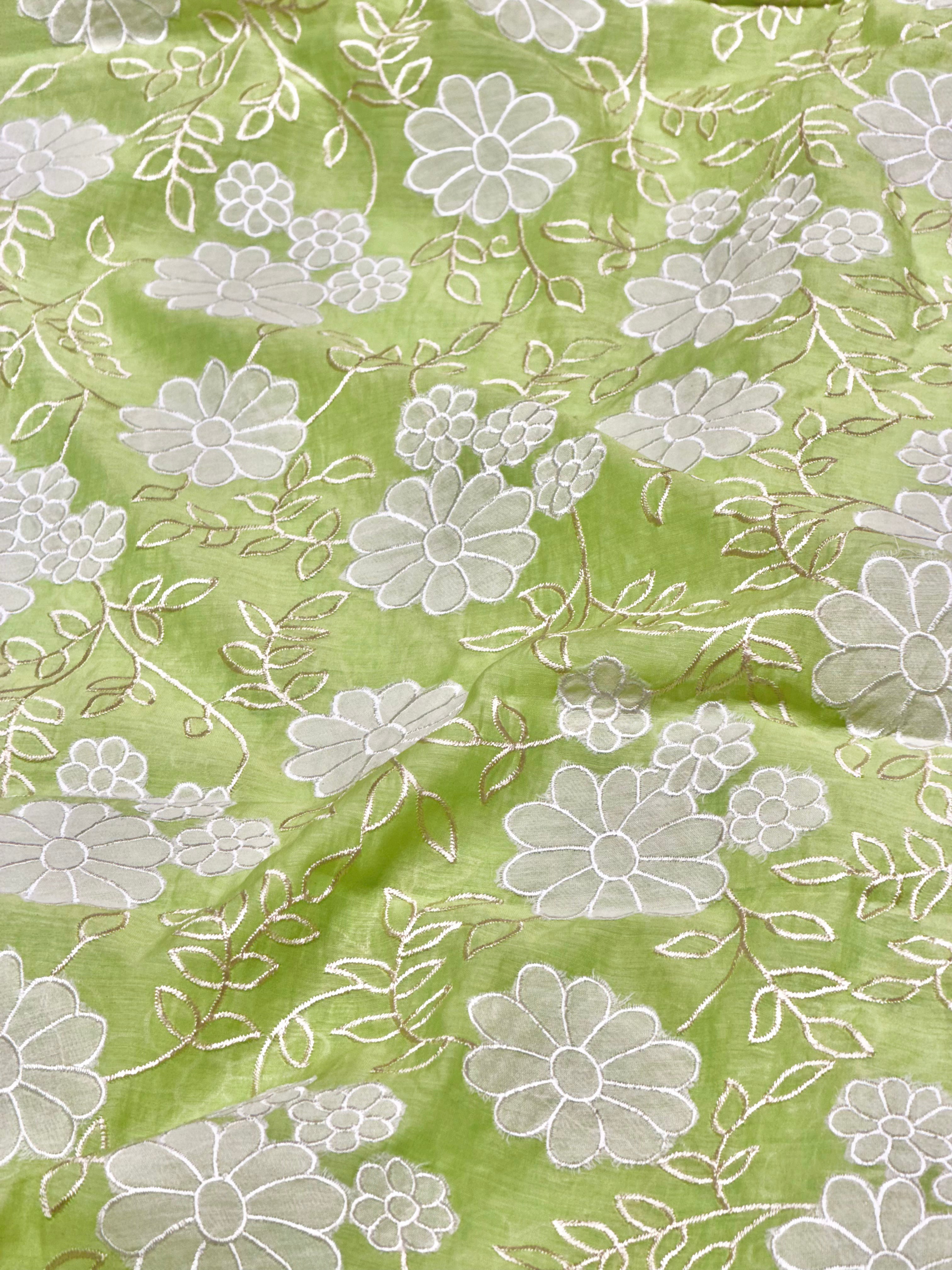 Light Green Mul Fabric With Appliqué Work