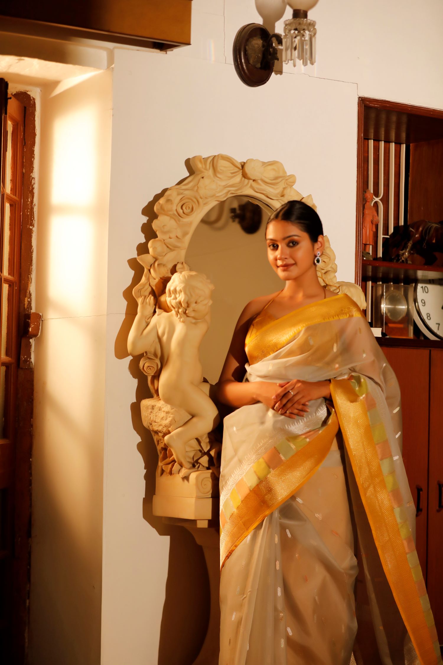 Pastel Grey Organza Saree with Sona Rupa Bootis and Panelled Border
