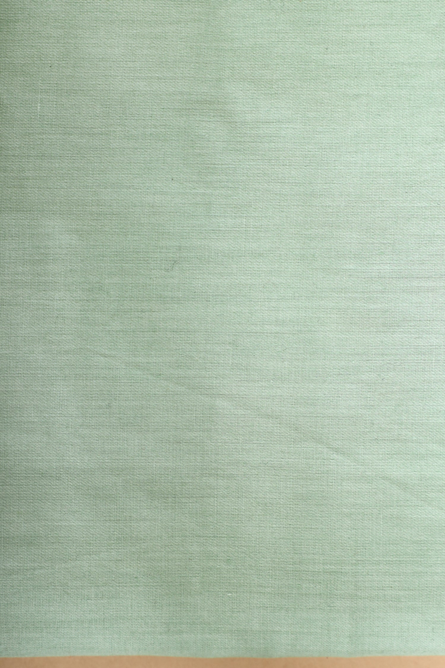 Mint Green Pure Mul Cotton Suit Set