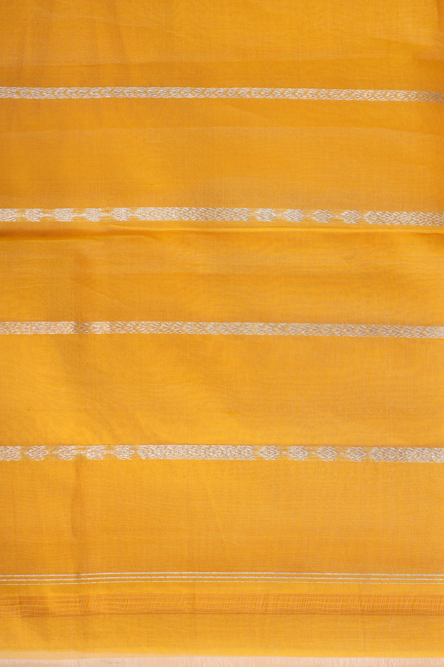 Champagne Tissue Silk Saree With Yellow Contrast Border