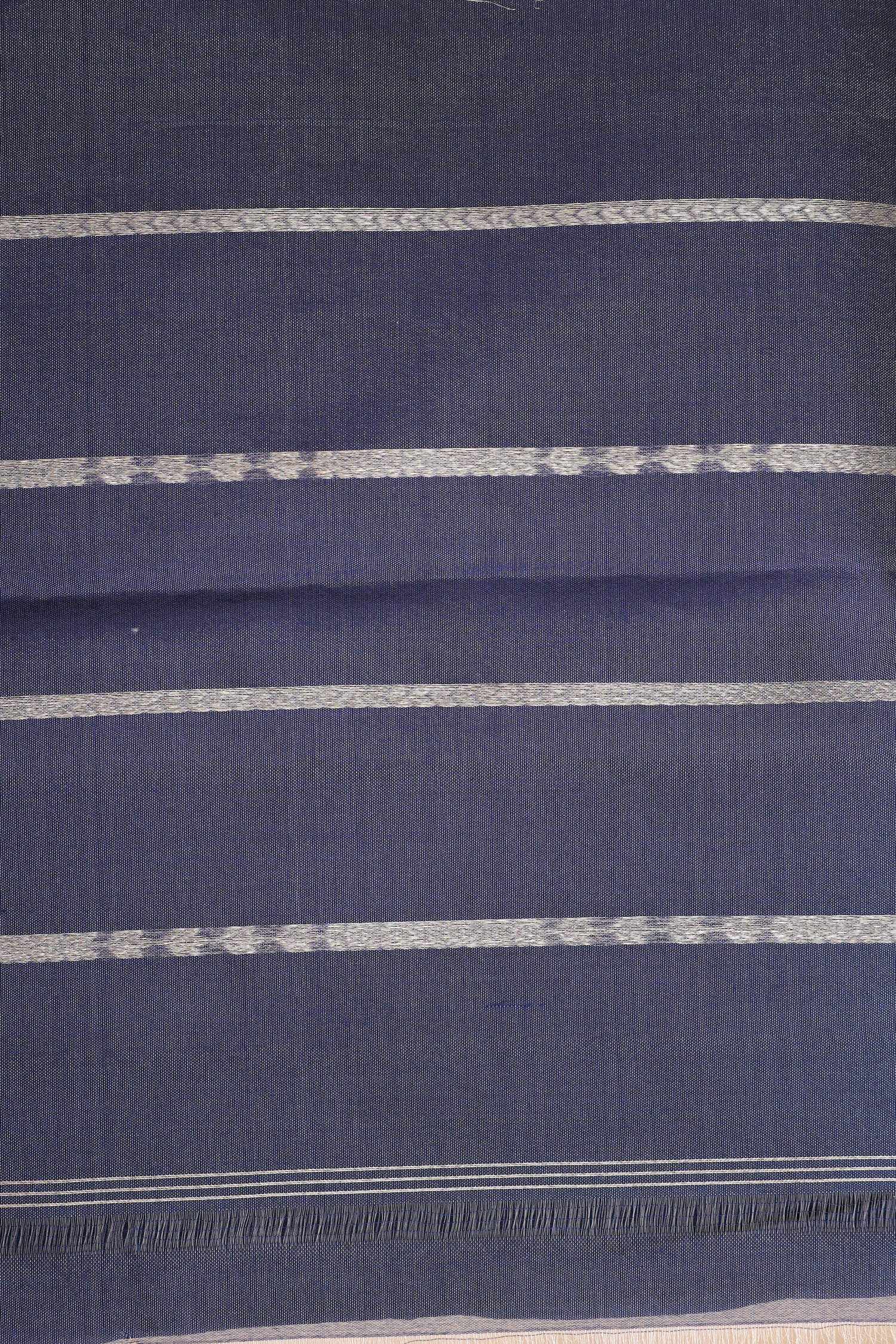 Champagne Tissue Silk Saree With Royal Blue Contrast Border