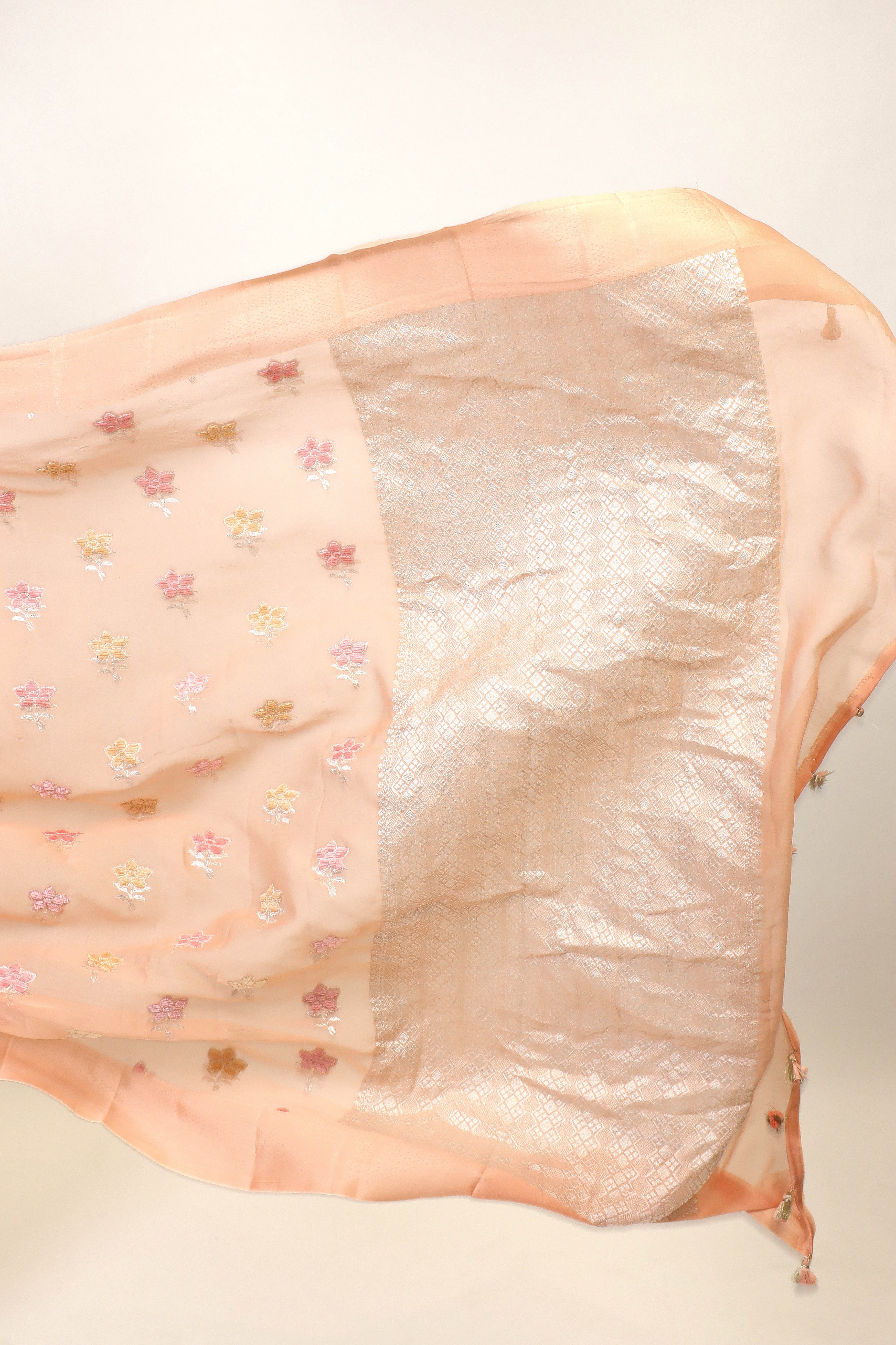 Peach Pink Banarasi Georgette Khaddi Floral Velvet Meenakari Silk Saree