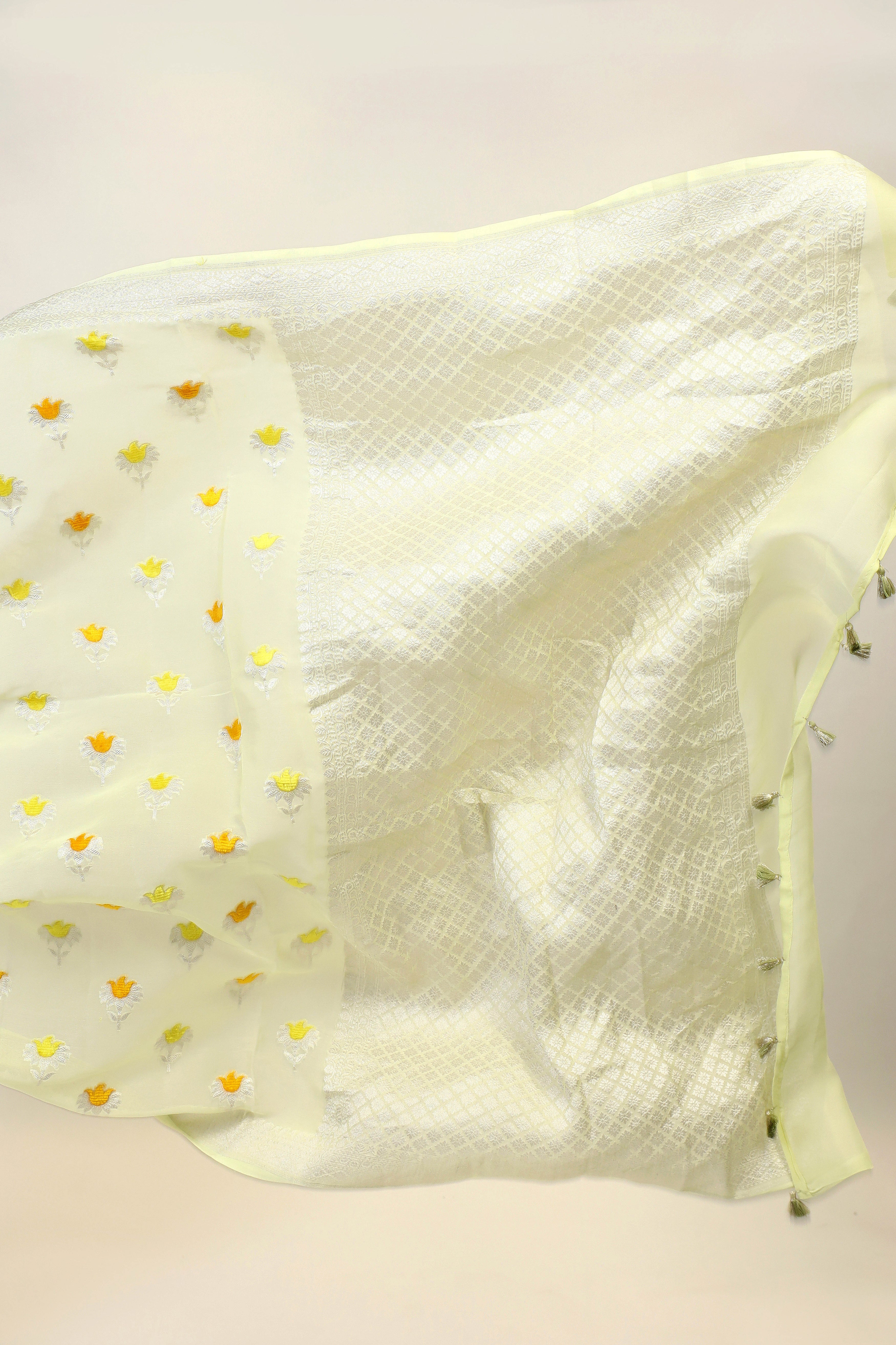 Pastel Lemon Yellow Banarasi Georgette Khaddi Floral Velvet Meenakari Silk Saree