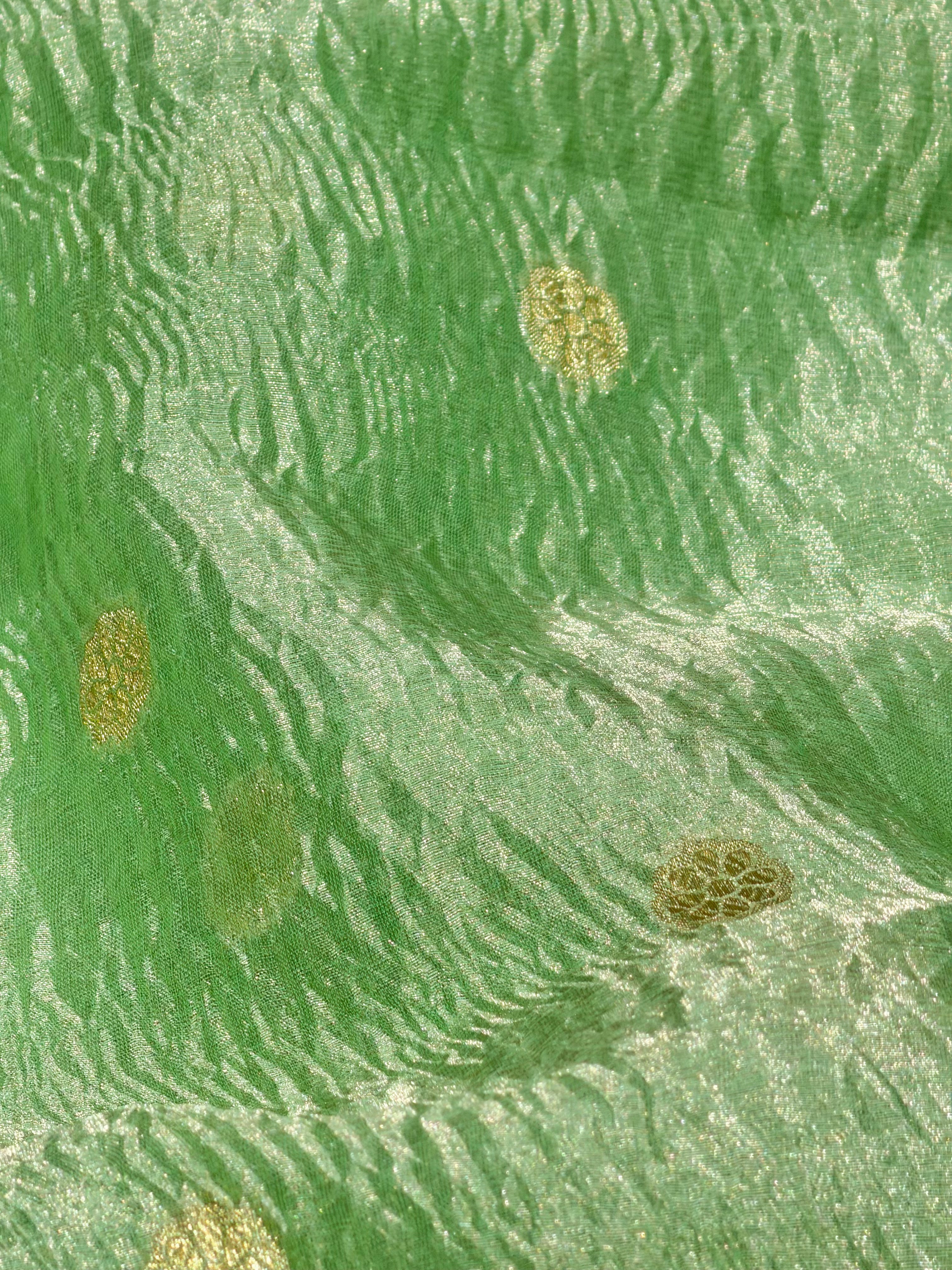 Pastel Green Crushed Tissue Fabric with Gold Zari Floral Motifs