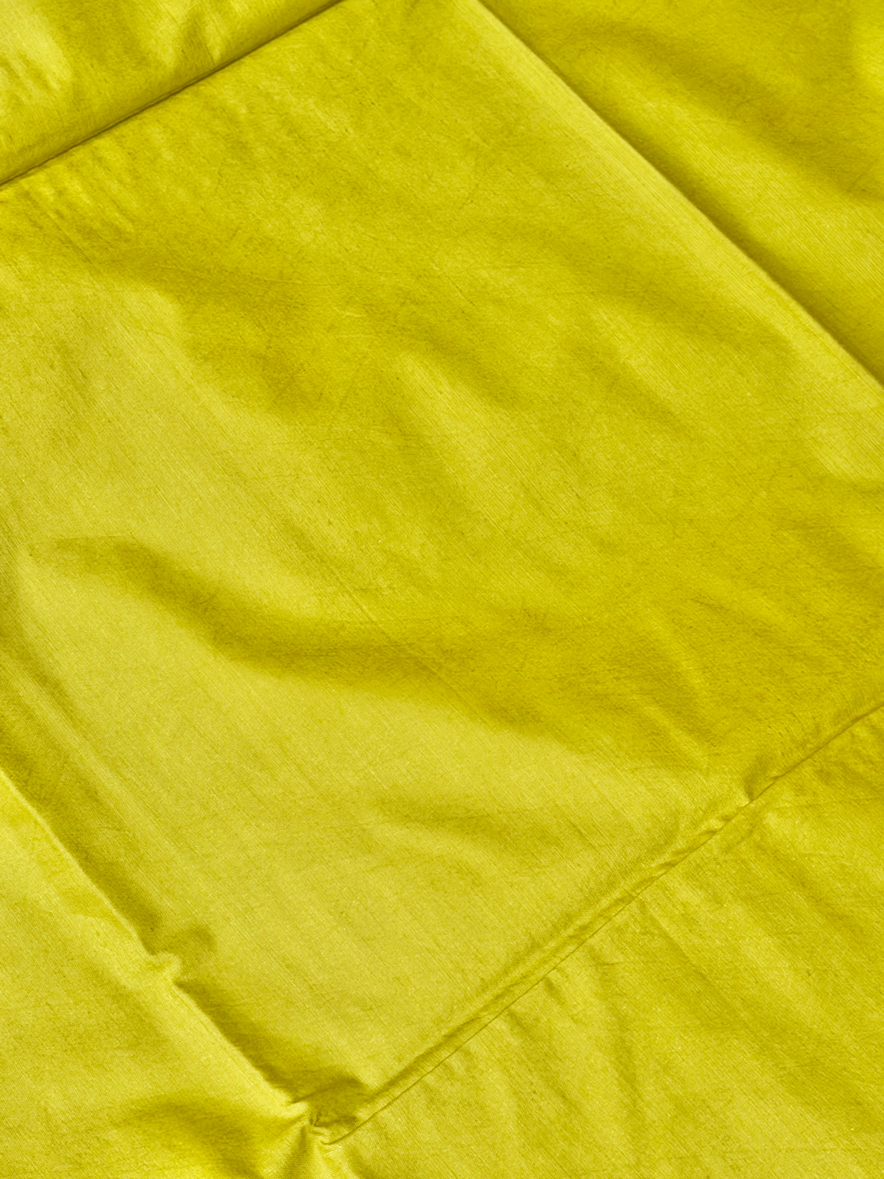 Lime Green Organza Silk Suit Set With Appliqué Dupatta