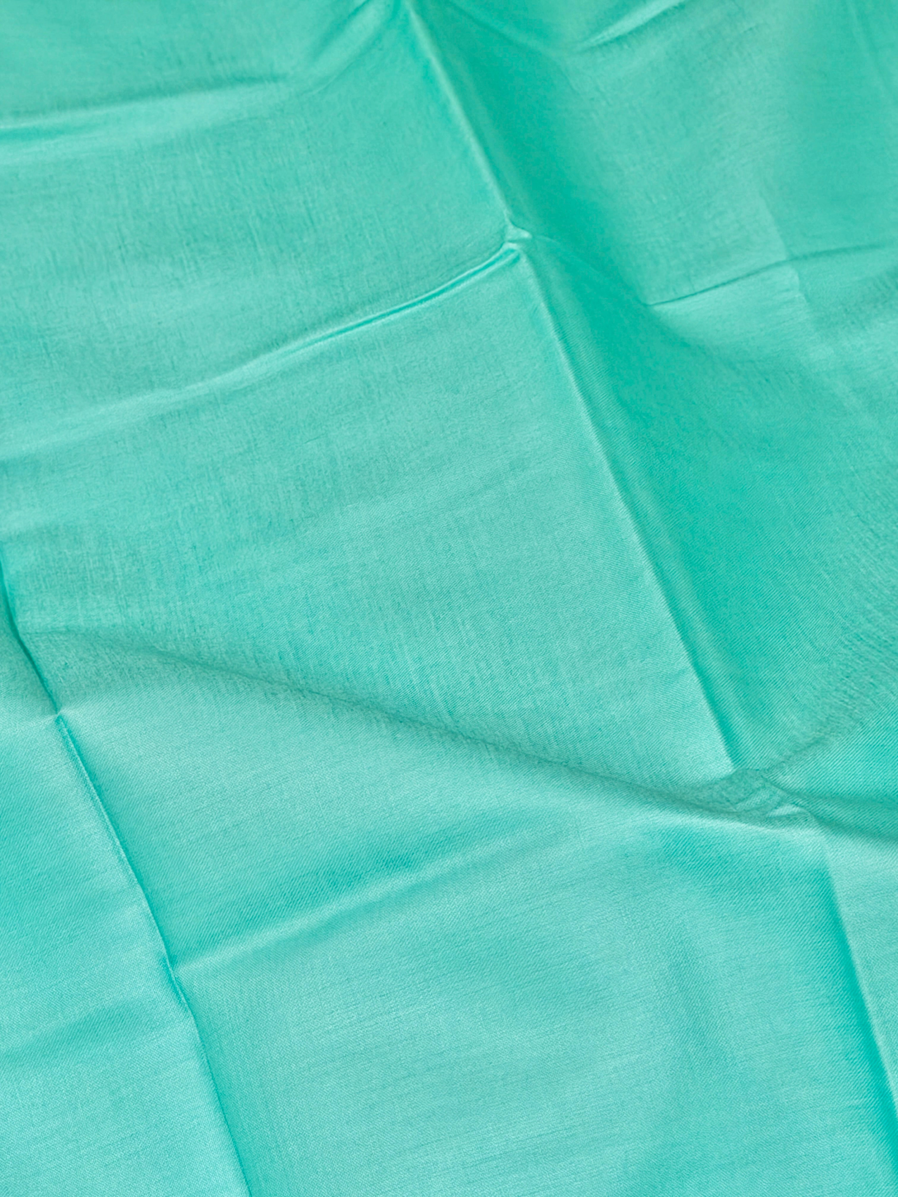 Aqua Blue Organza Silk Suit Set With Appliqué Dupatta