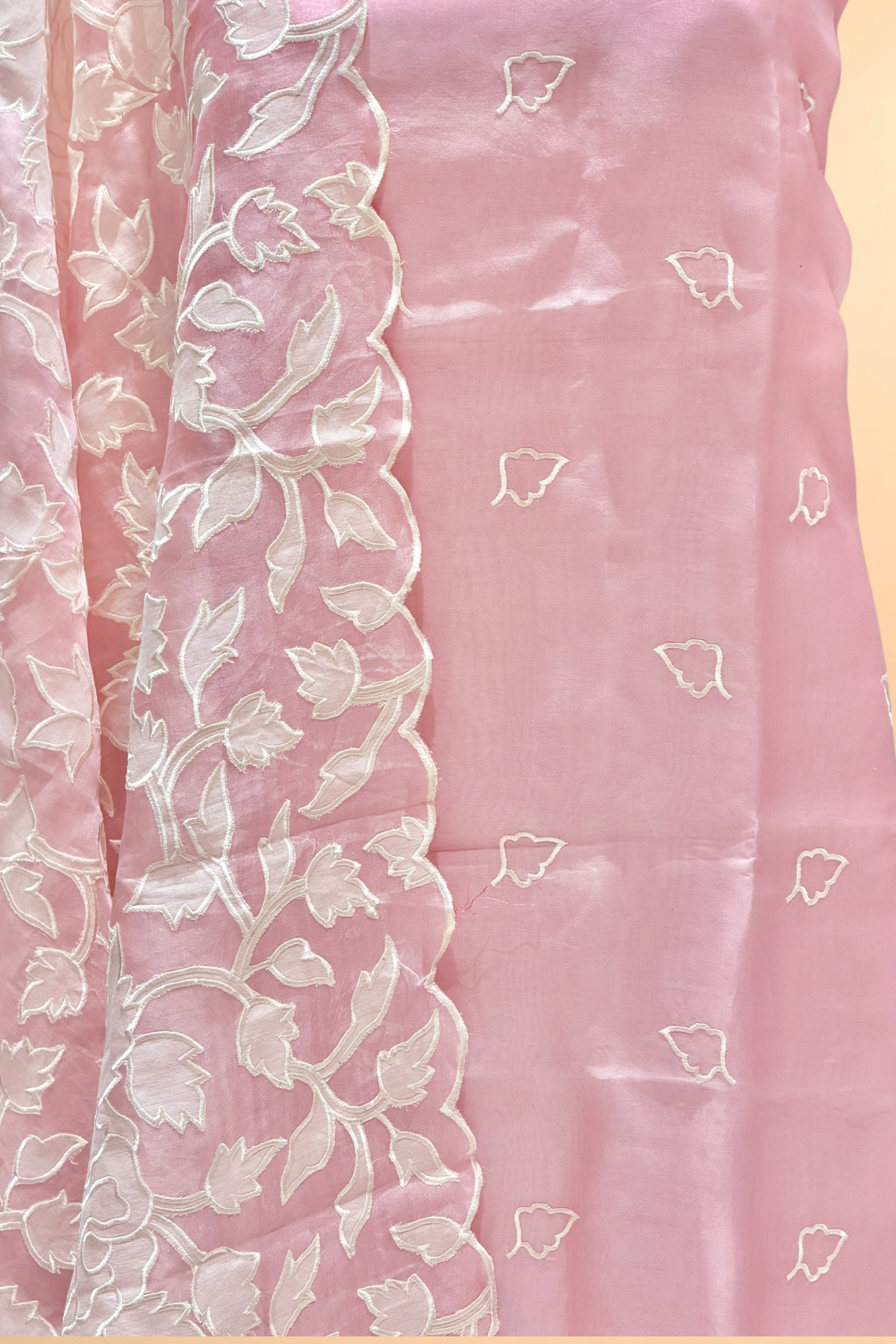 Pastel Pink Organza Silk Suit Set With Appliqué Dupatta