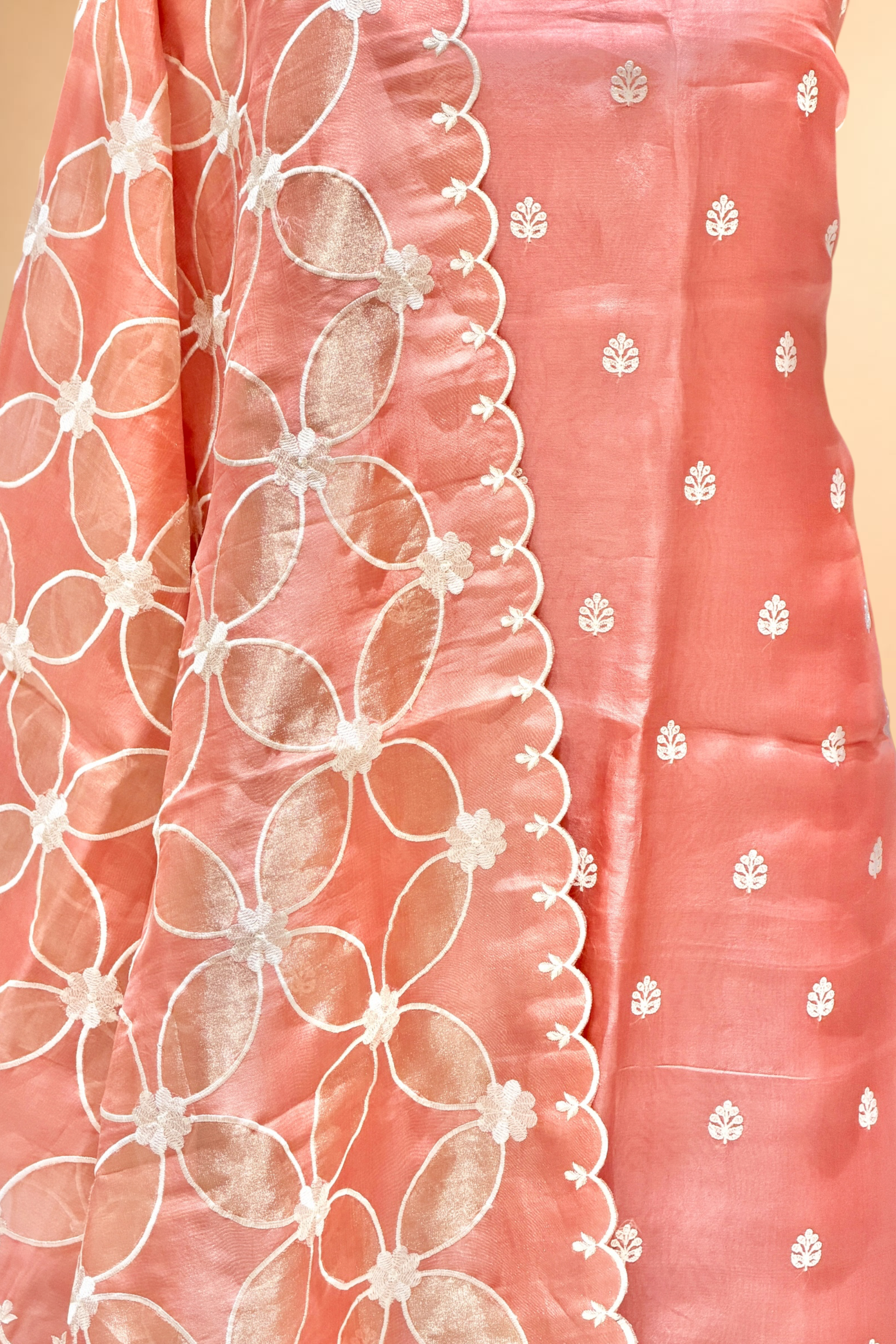Coral Pink Organza Silk Suit Set With Tissue Appliqué Dupatta