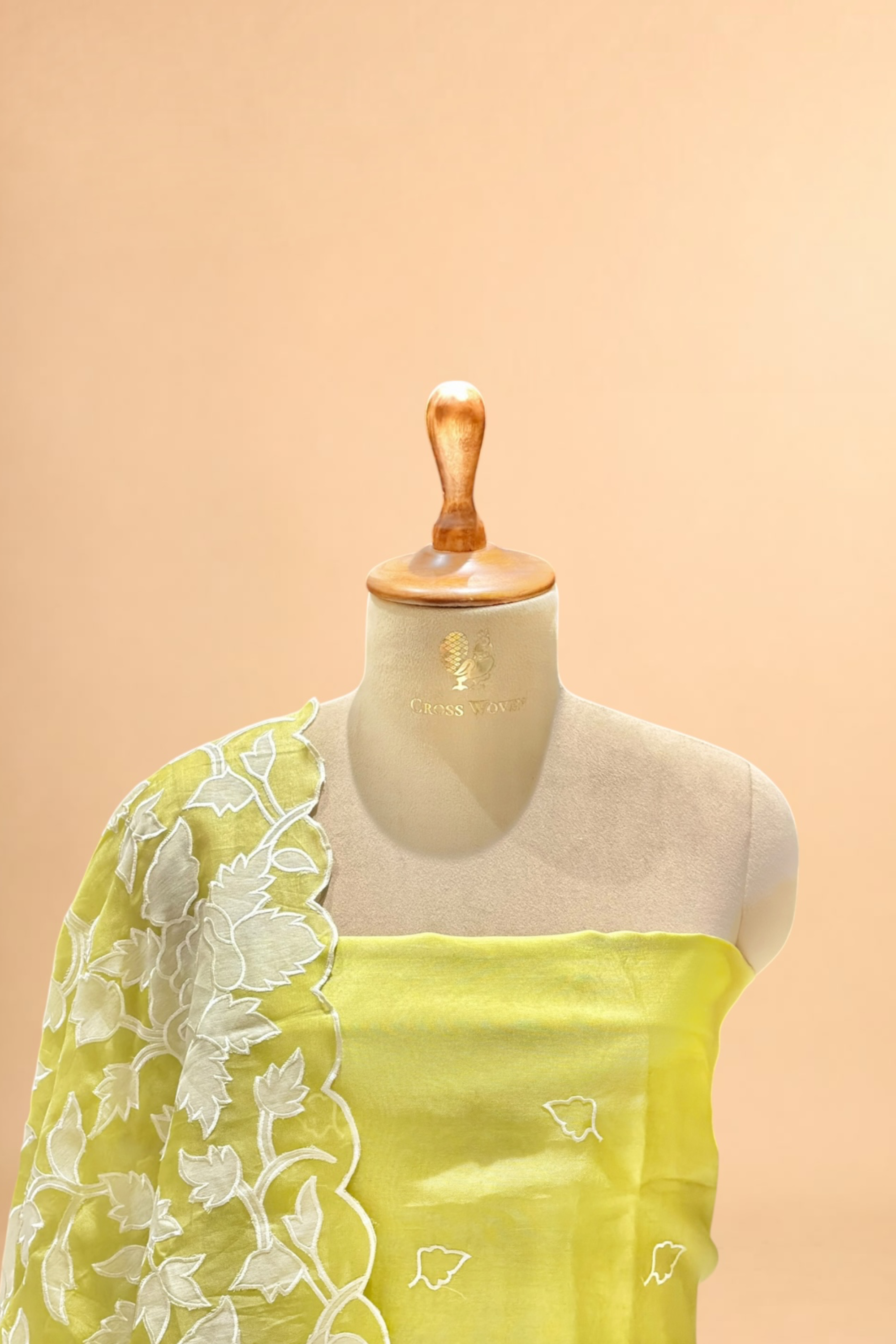 Lime Green Organza Silk Suit Set With Appliqué Dupatta