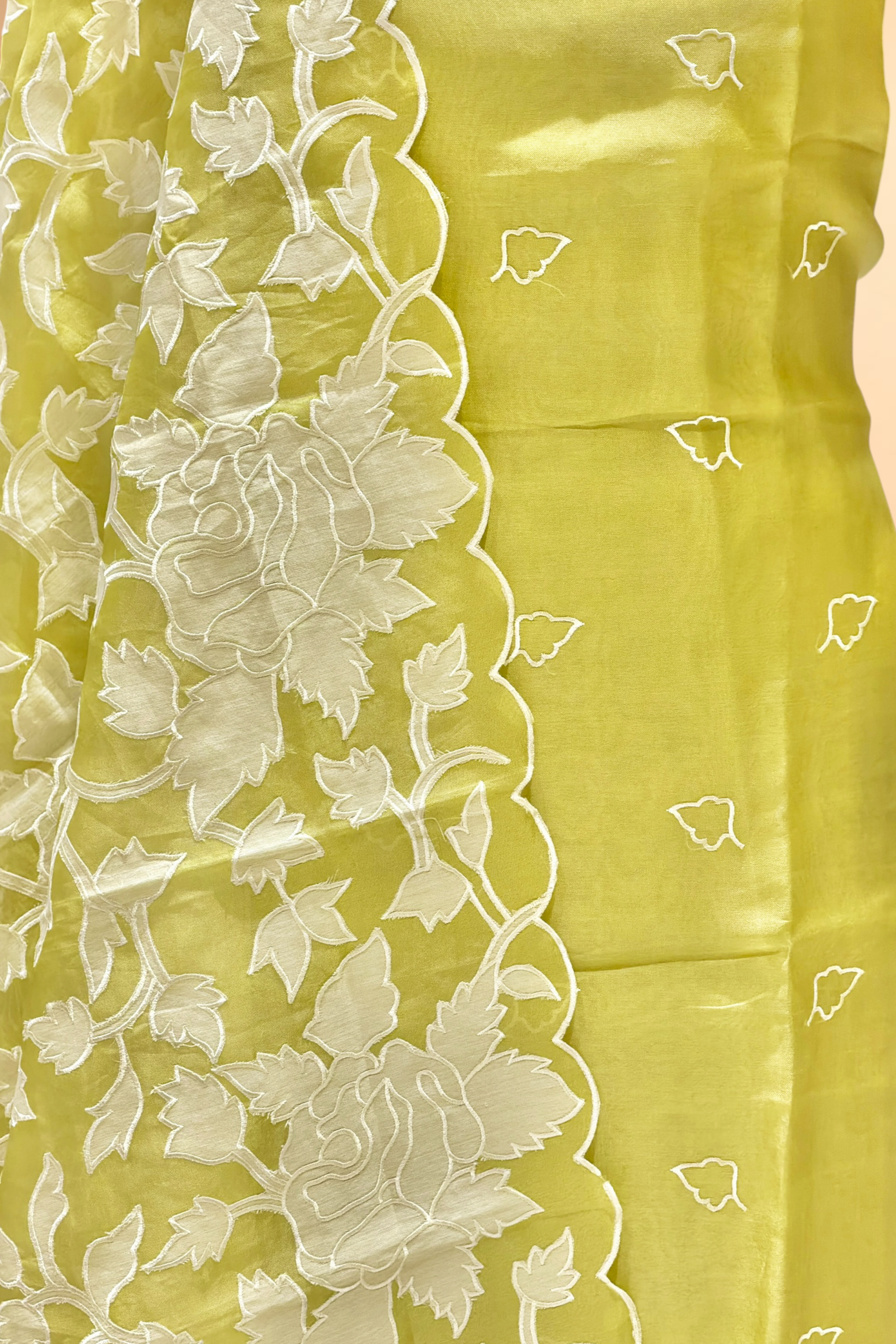 Lime Green Organza Silk Suit Set With Appliqué Dupatta