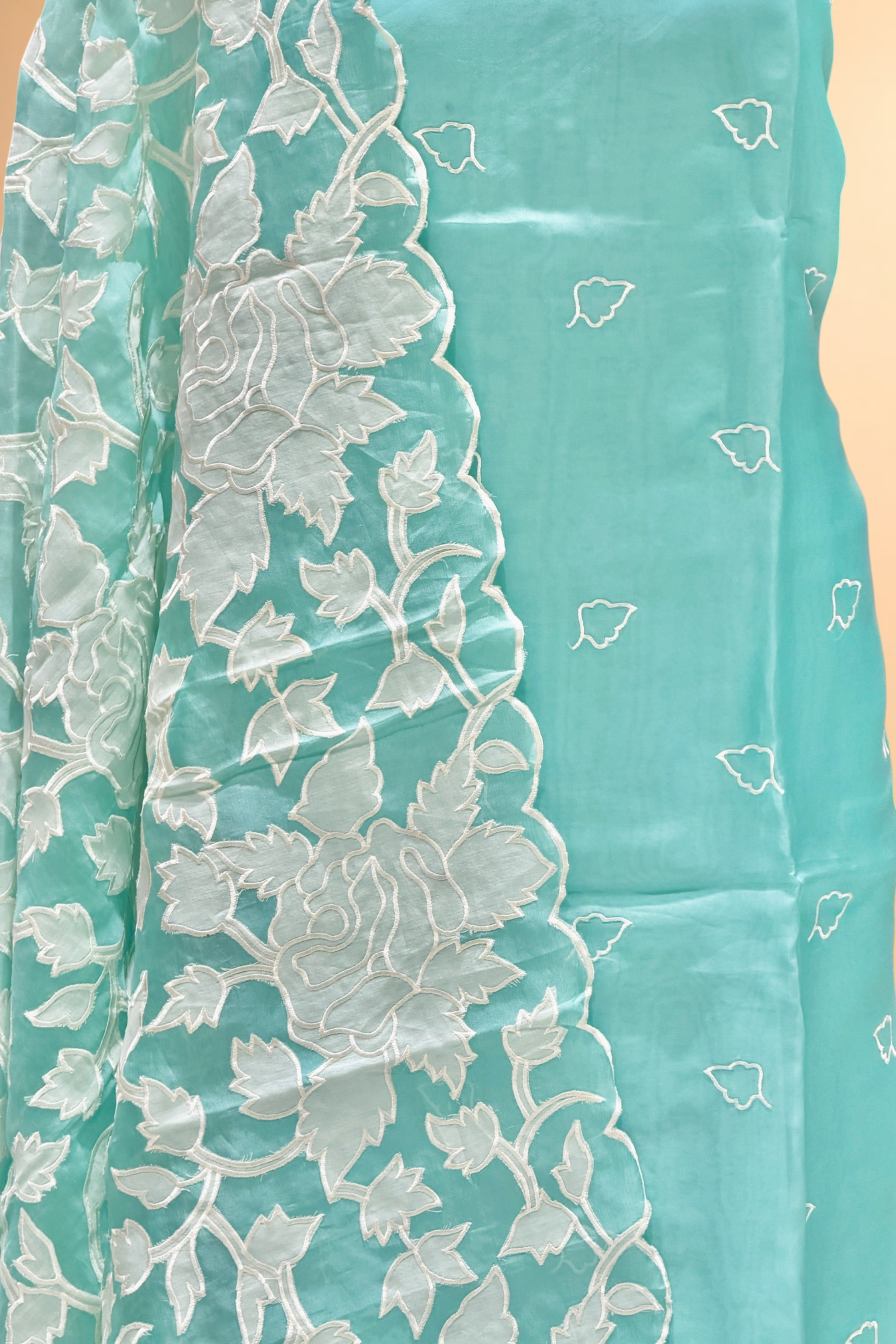 Aqua Blue Organza Silk Suit Set With Appliqué Dupatta