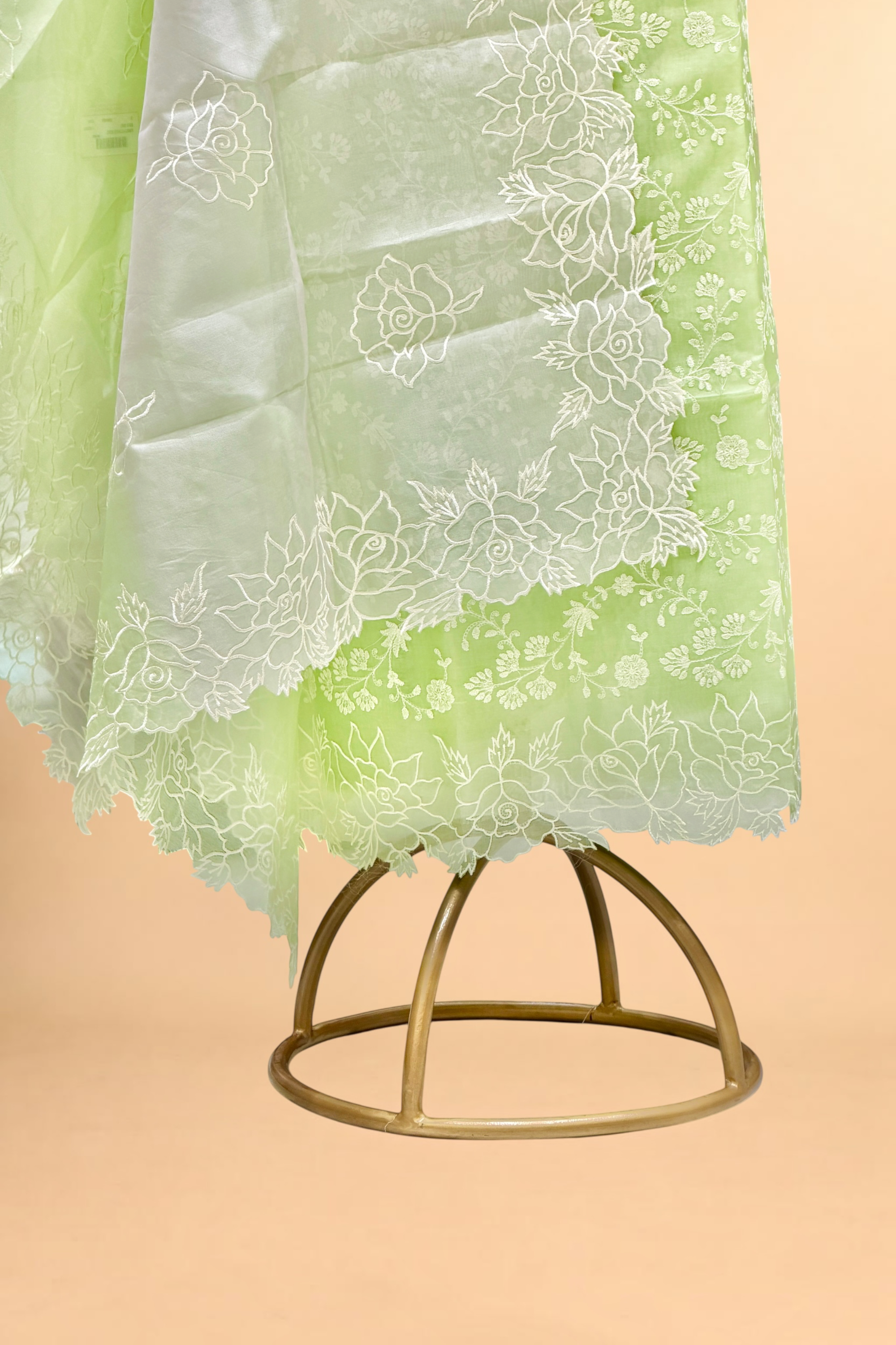 Pistachio Green Organza Silk Suit Set With Shaded Dupatta