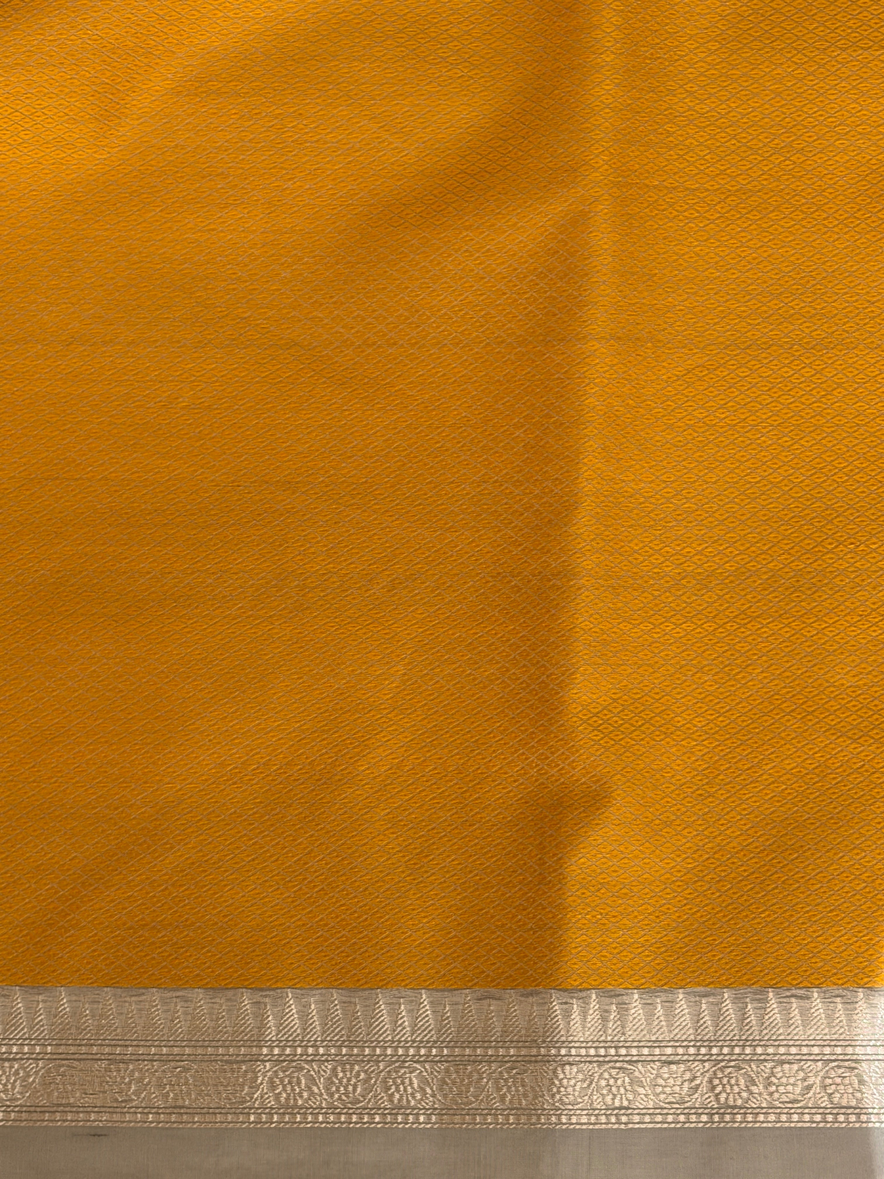 Pastel Grey Organza Saree with Sona Rupa Bootis and Panelled Border