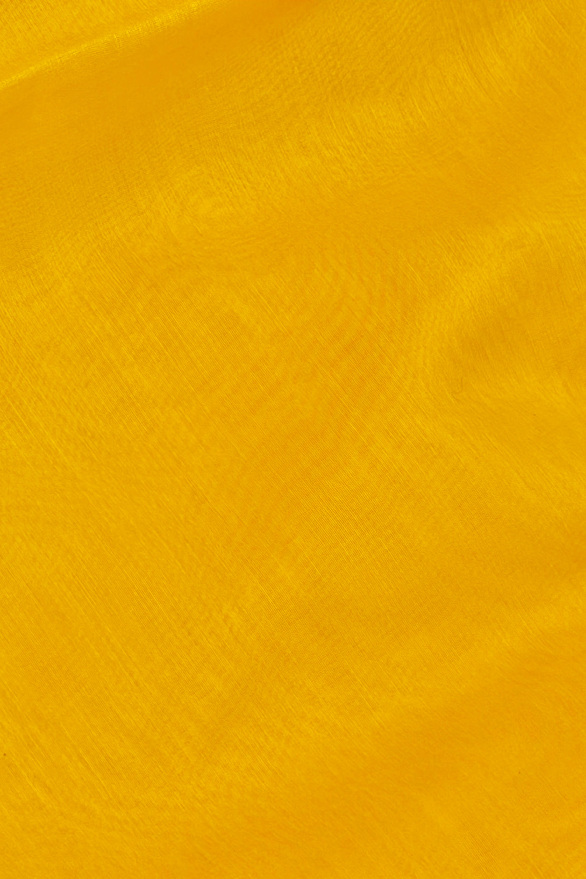 Sunshine Yellow Mul Suit Set with Tissue Panel Top & Stripe Dupatta