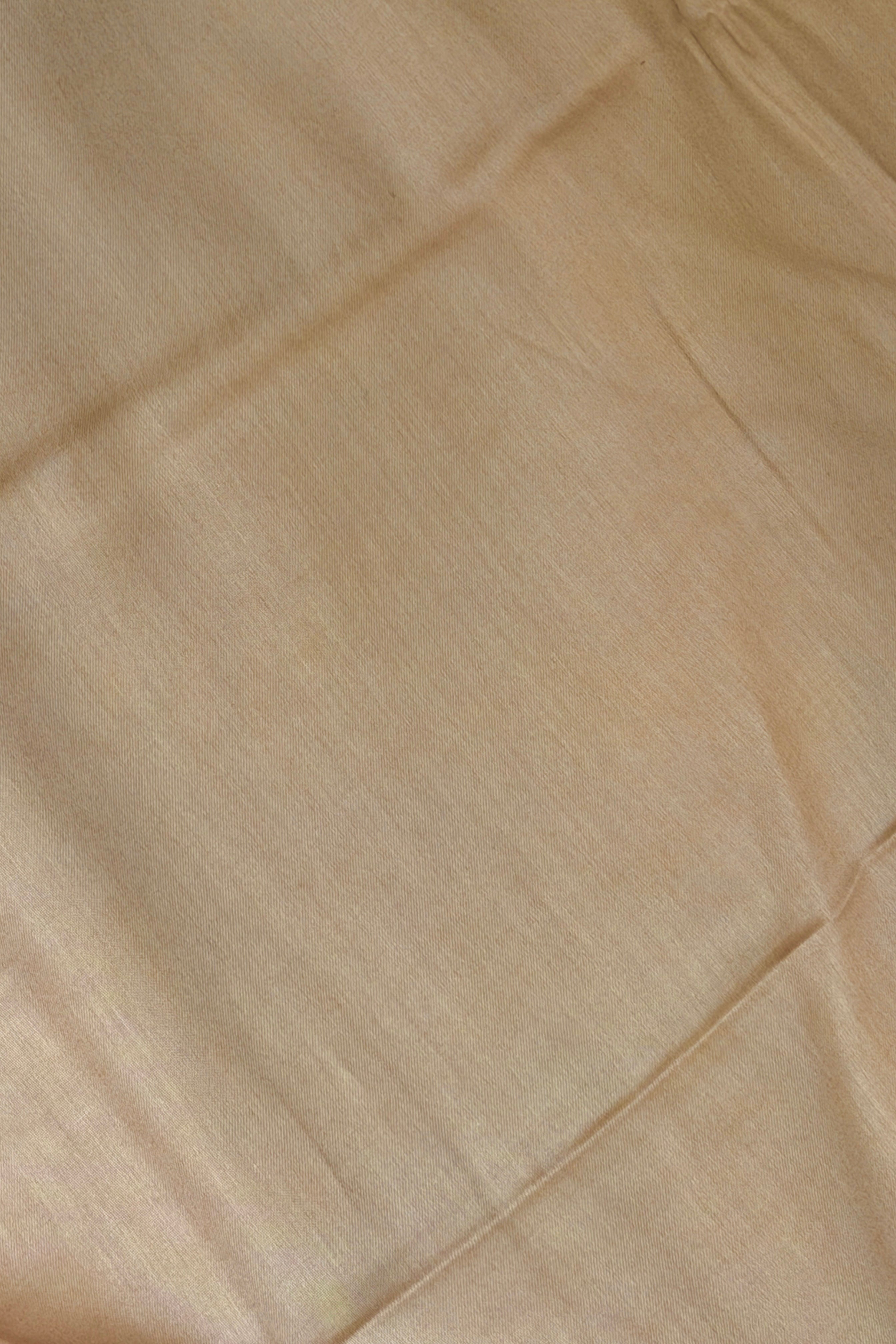 Champagne Beige Mul Suit Set with Tissue Panel Top & Stripe Dupatta