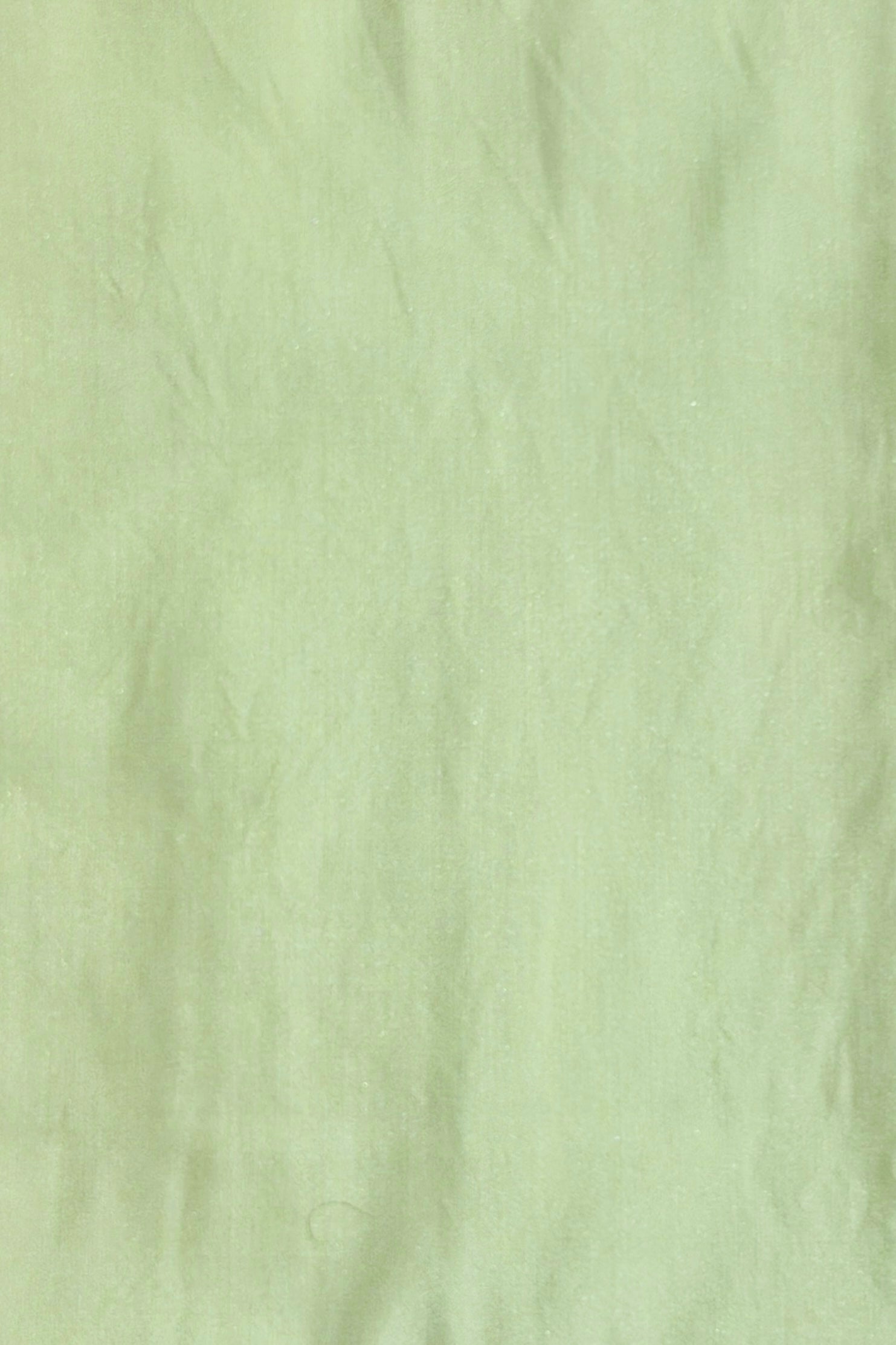 Pastel Green Linen Suit Set with Lotus Embroidery & Printed Dupatta