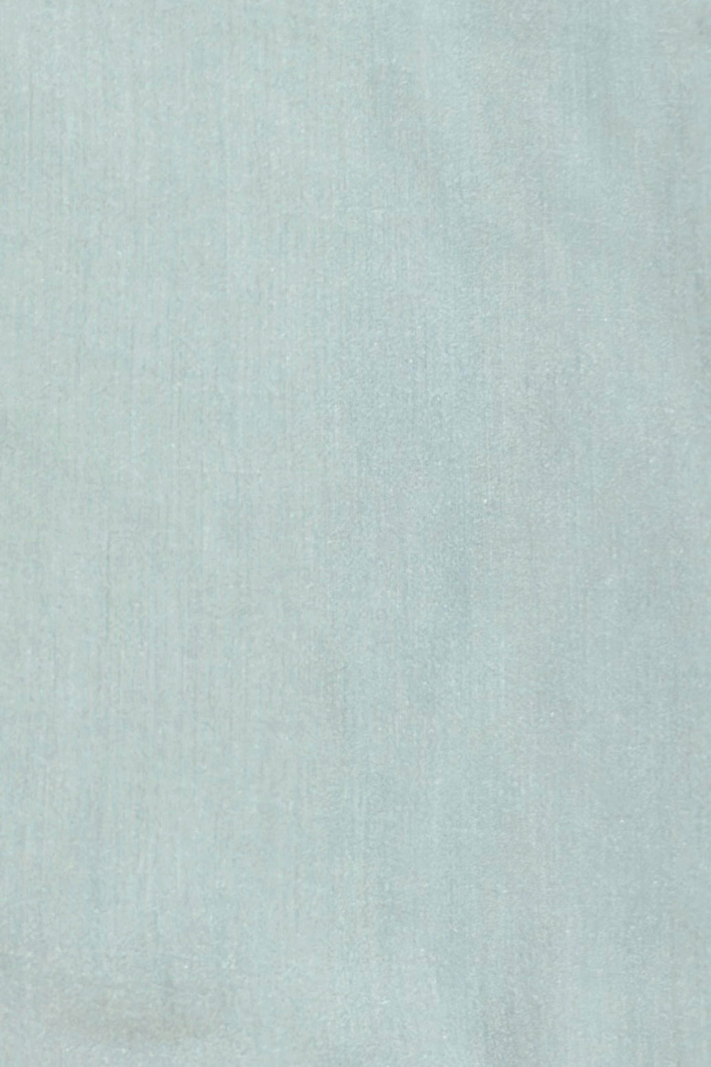 Powder Blue Linen Suit Set with Embroidered Bird Motifs & Floral Printed Dupatta