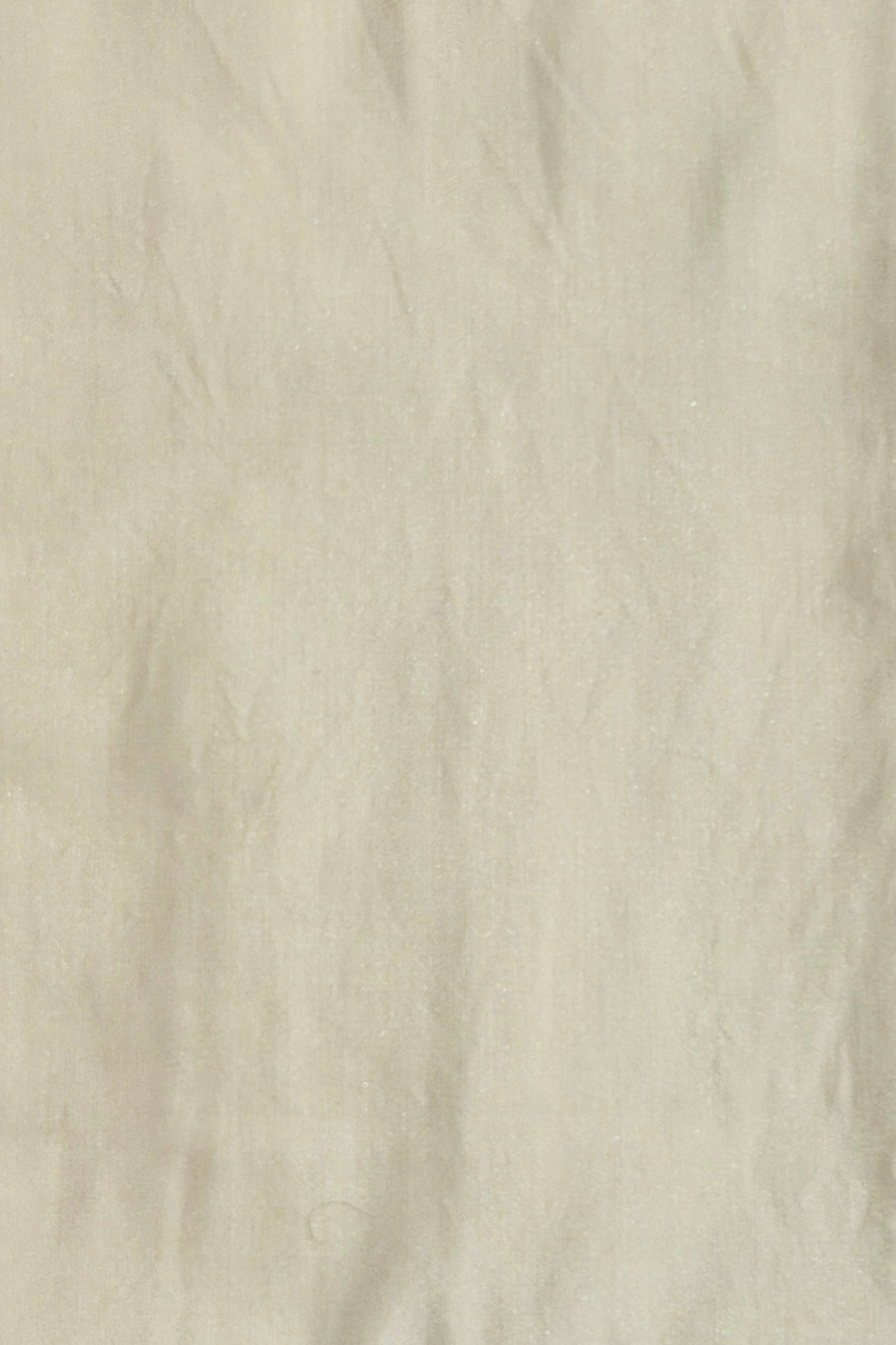 White Chanderi Silk Suit Set With Jangle Inspired Dupatta