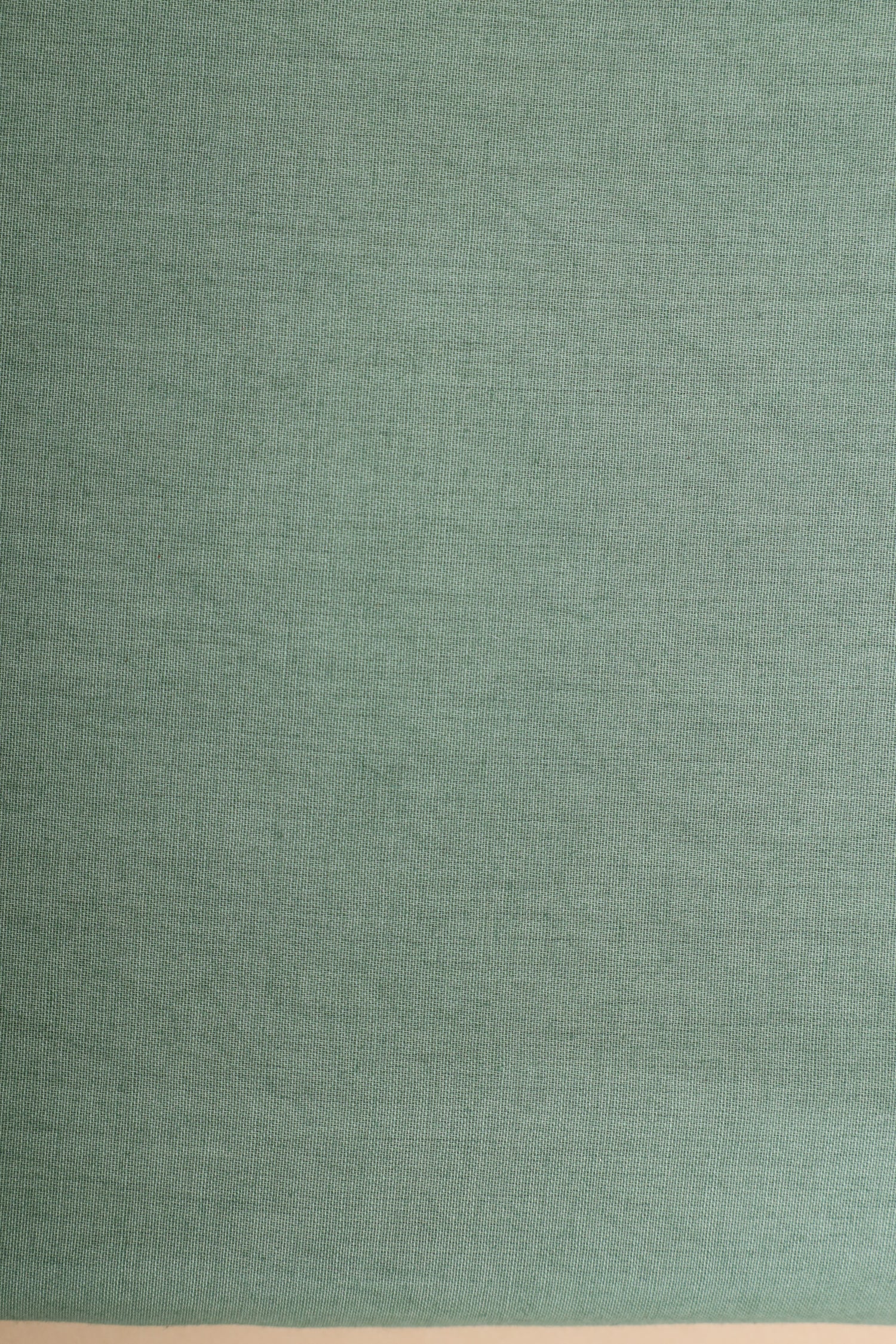 Mint Green Pure Mul Cotton Suit Set