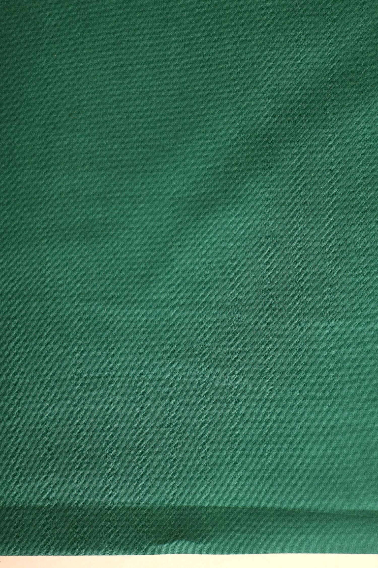 Sage Green Tissue Silk Suit Set with Silver Zari Bootis and Ornate Border