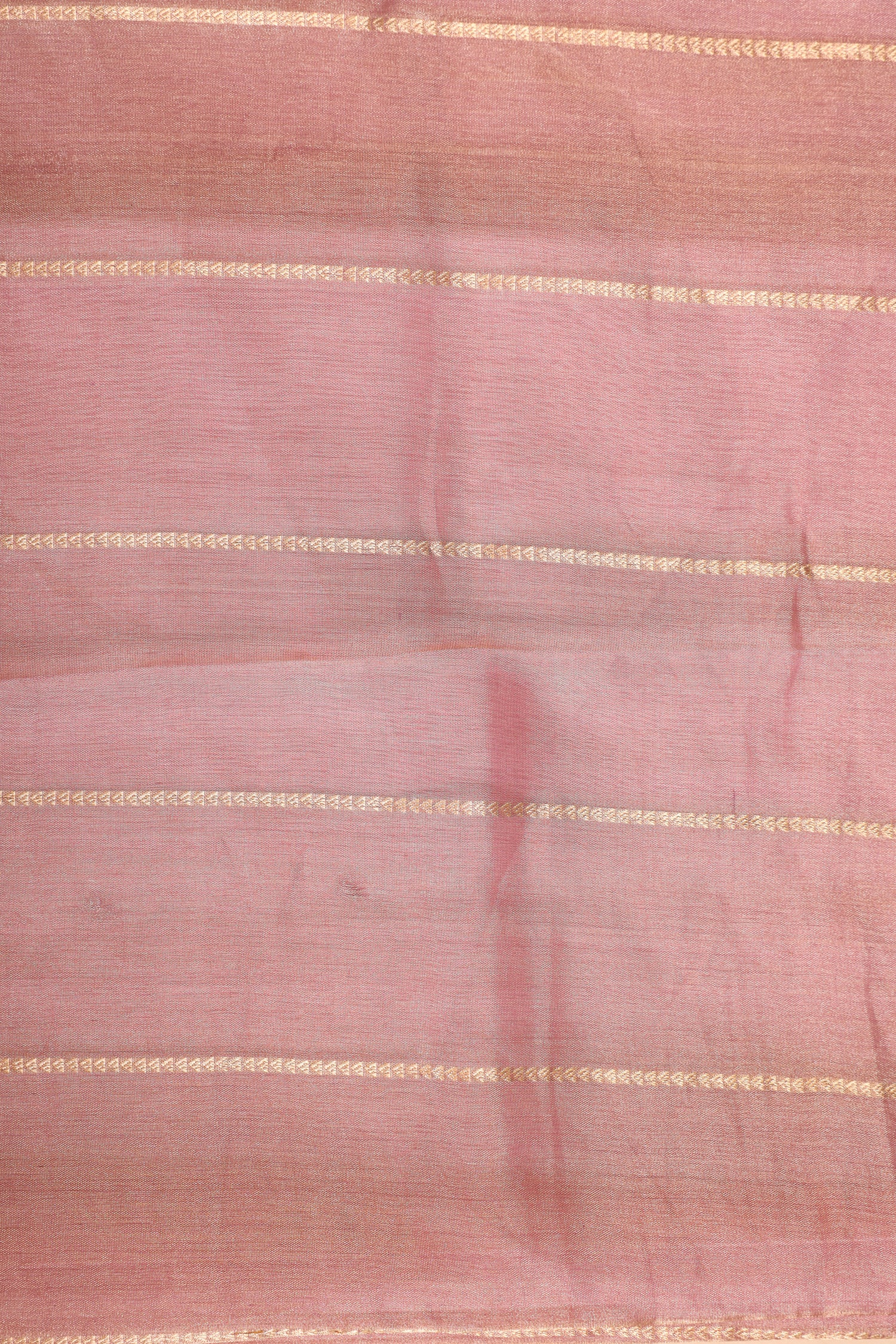 Blush Pink Rangkaat Tissue Silk Saree With Hand-Painted Floral Border