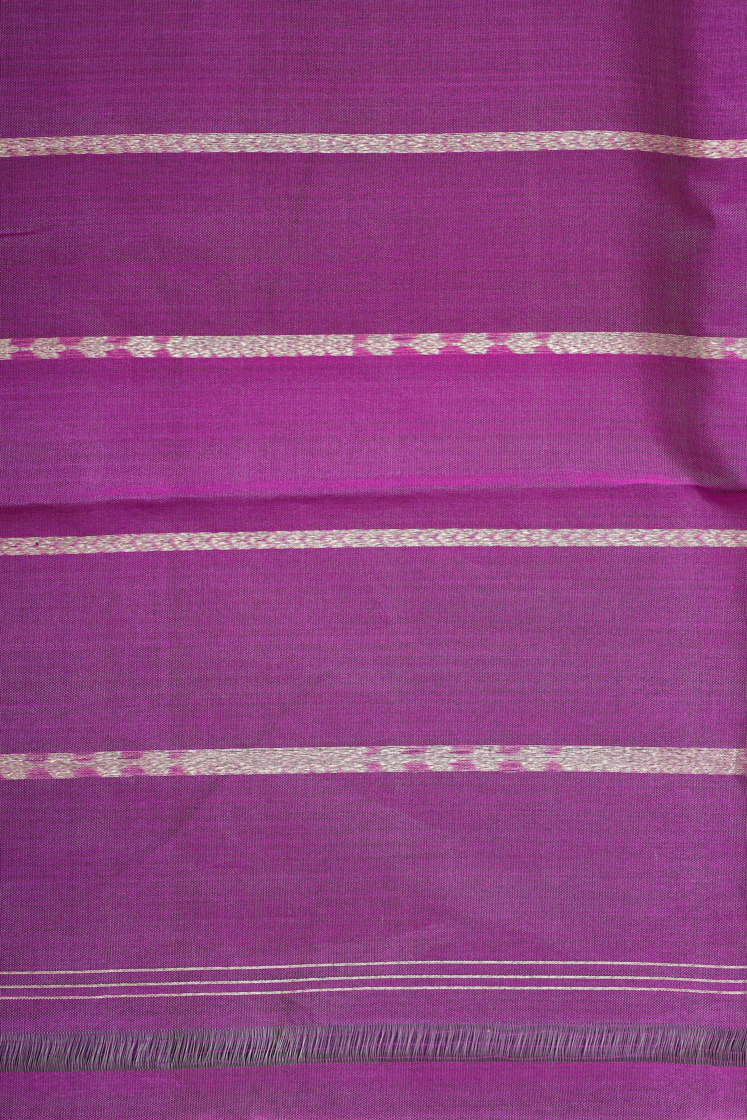 Champagne Tissue Silk Saree With Maggenta Contrast Border