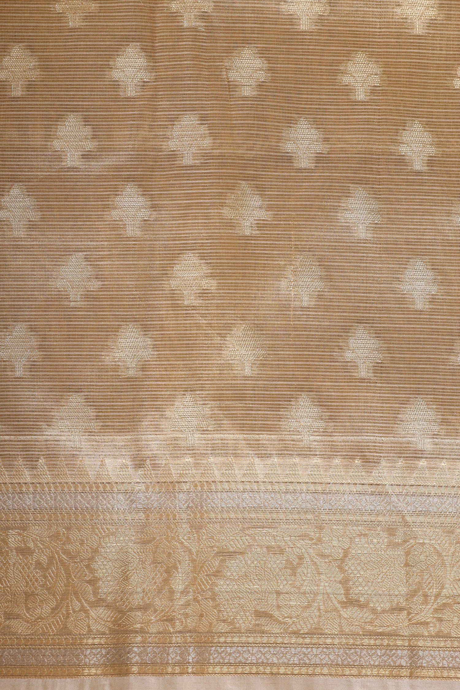 Champagne Tissue Silk Saree With Paithani Style Floral Vines