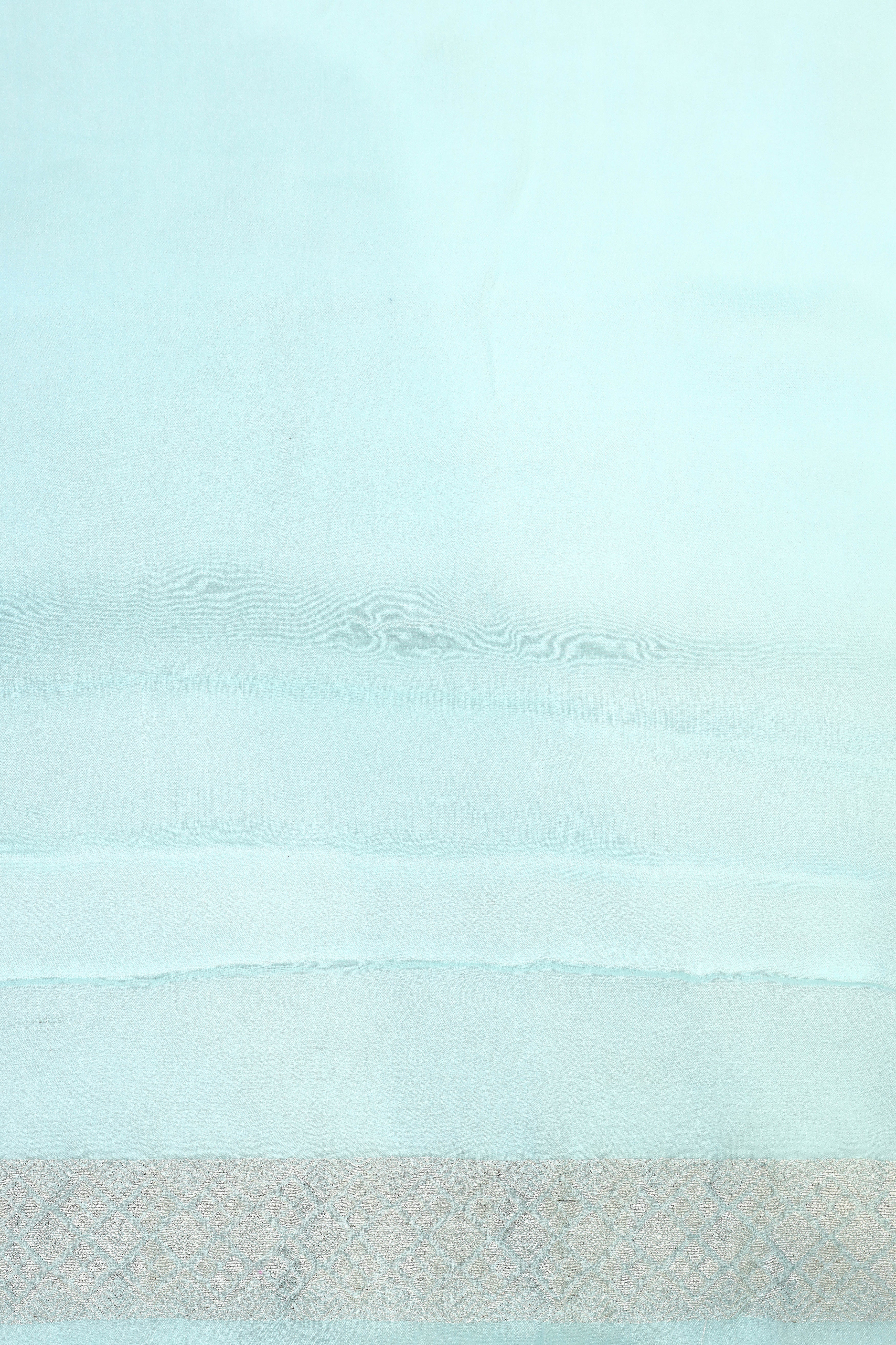 Powder Blue Banarasi Georgette Khaddi Floral Velvet Meenakari Silk Saree