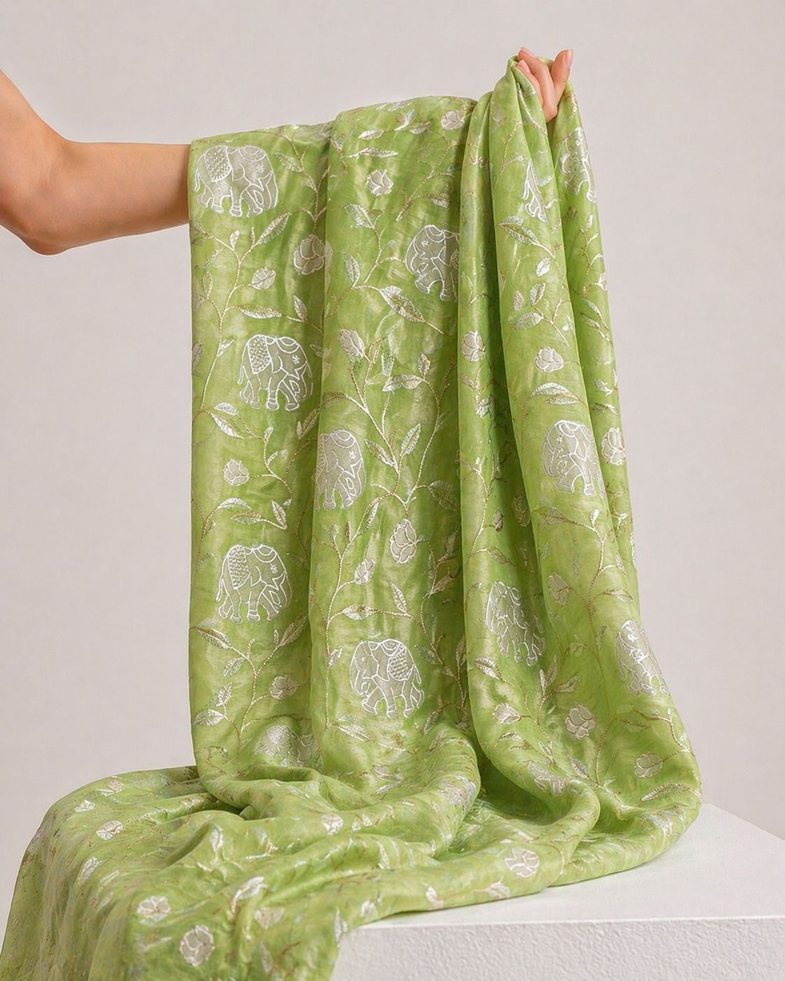 Light Green Mul Fabric With Appliqué Work